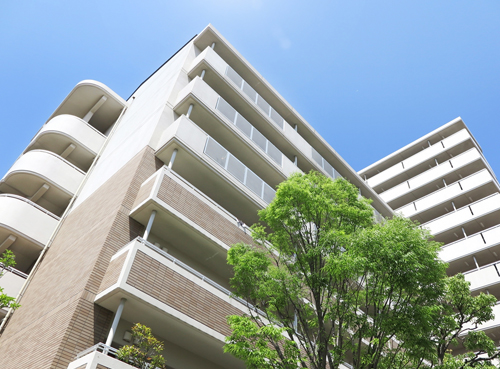 レベルアップジャパンの強み